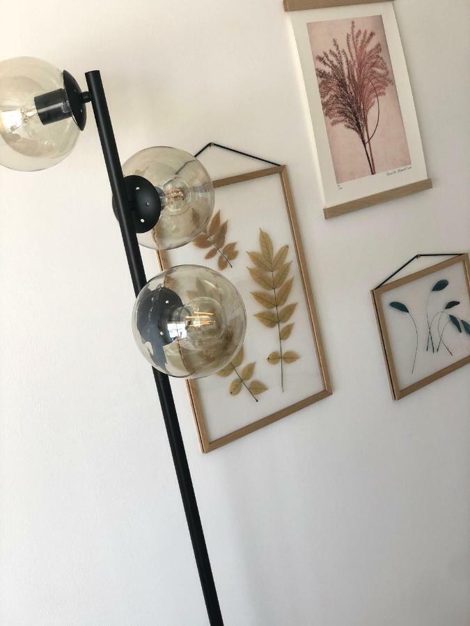 Jacaranda II Appartement Mandelieu Eksteriør billede